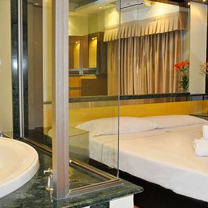 Imagen de L' Hirondelle